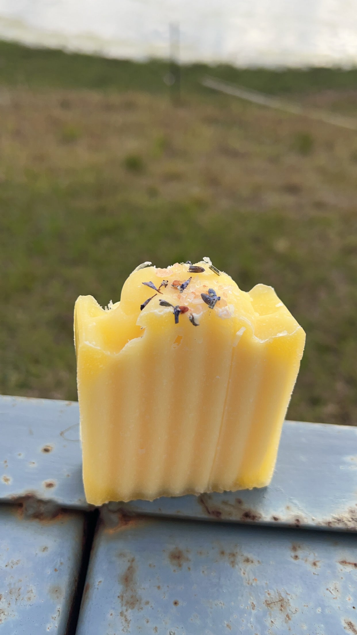 Tallow Face Bar